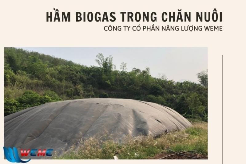 Cấu tạo chi tiết của sơ đồ hầm biogas bao gồm các bộ phận chính như hầm ủ, ống nạp, ống thoát khí và ngăn chứa bã thải